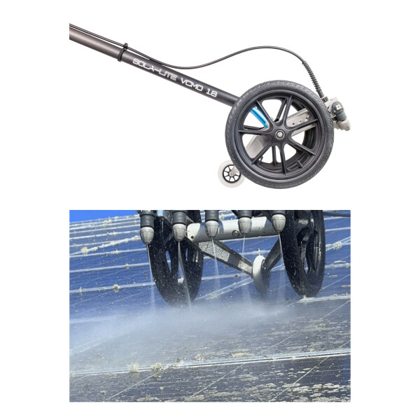 Élimination des lichens