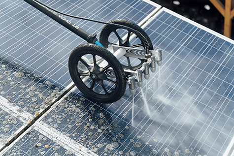 Flechtenentferner für PV-Anlagen von Cleantecs