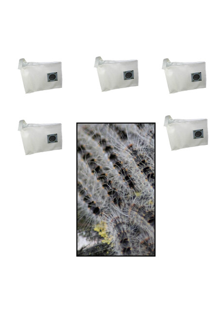 Sac daspiration pour lélimination des chenilles processionnaires du chêne classe de poussière H 5 pièces
