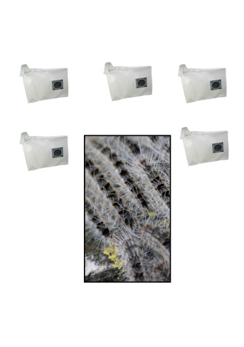 Vacuum cleaner bag for removing oak processionary spiders...